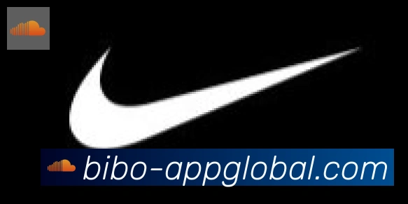 必博bibo官网体育合作伙伴